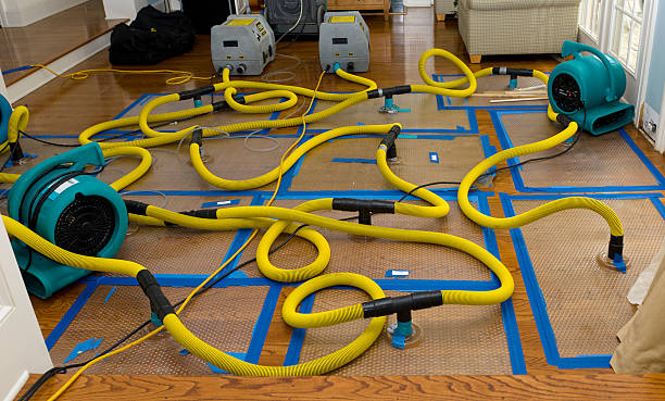 Professional Burst Pipe Water Damage technician working in Bremen, OH